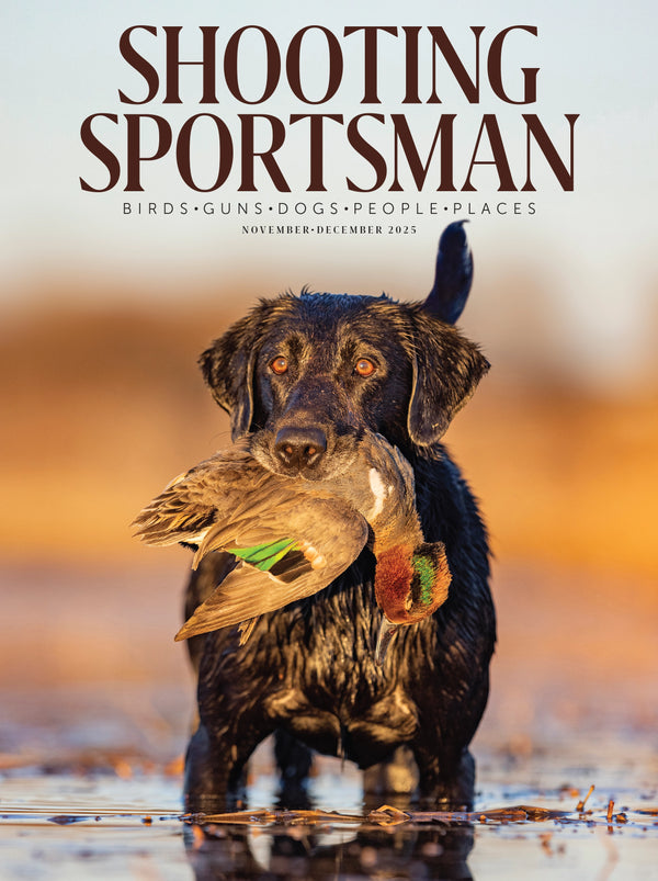 Shooting Sportsman, November/December 2025